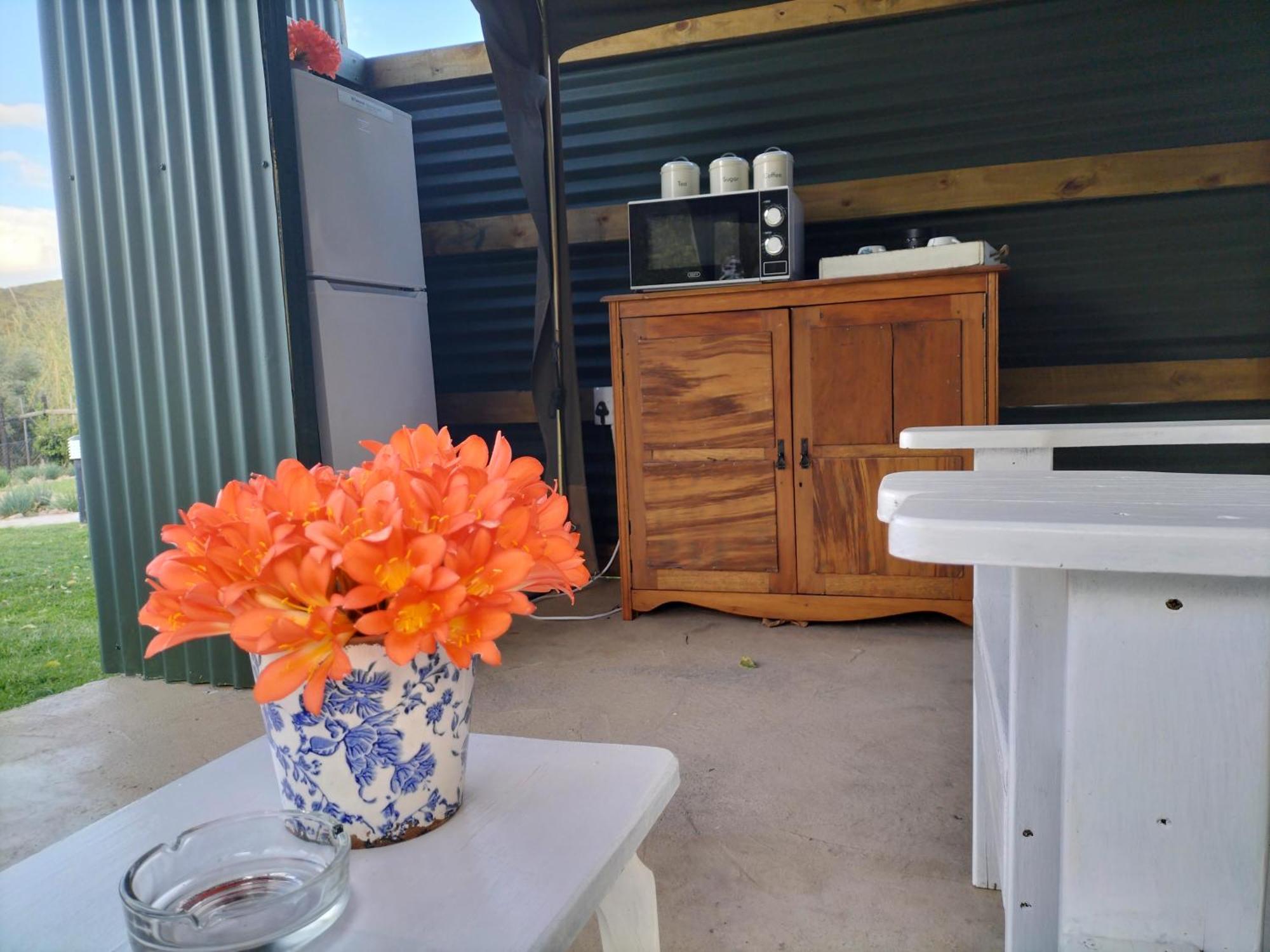Schoemanshoek Glamping Oudtshoorn Ngoại thất bức ảnh