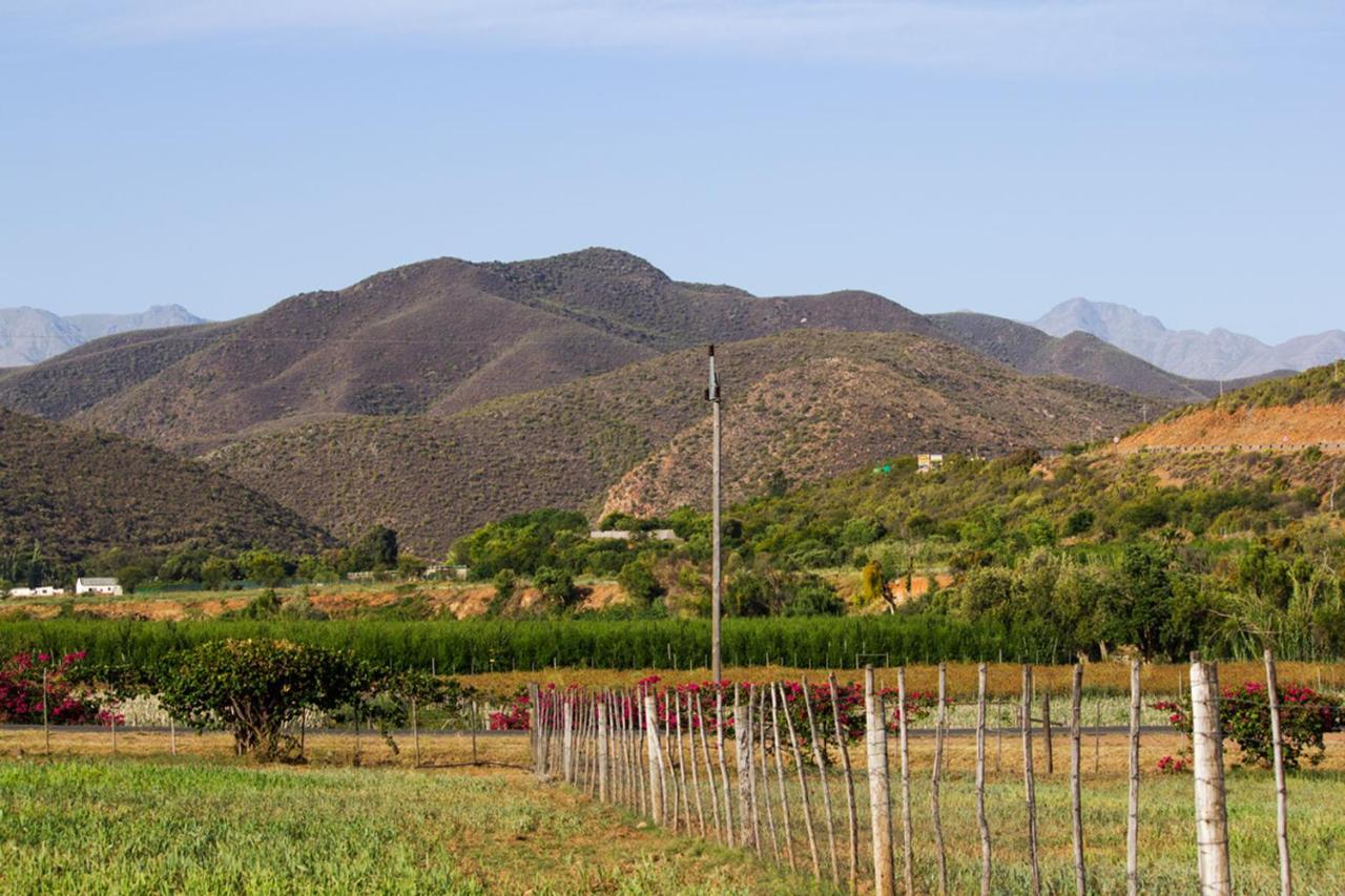 Schoemanshoek Glamping Oudtshoorn Ngoại thất bức ảnh