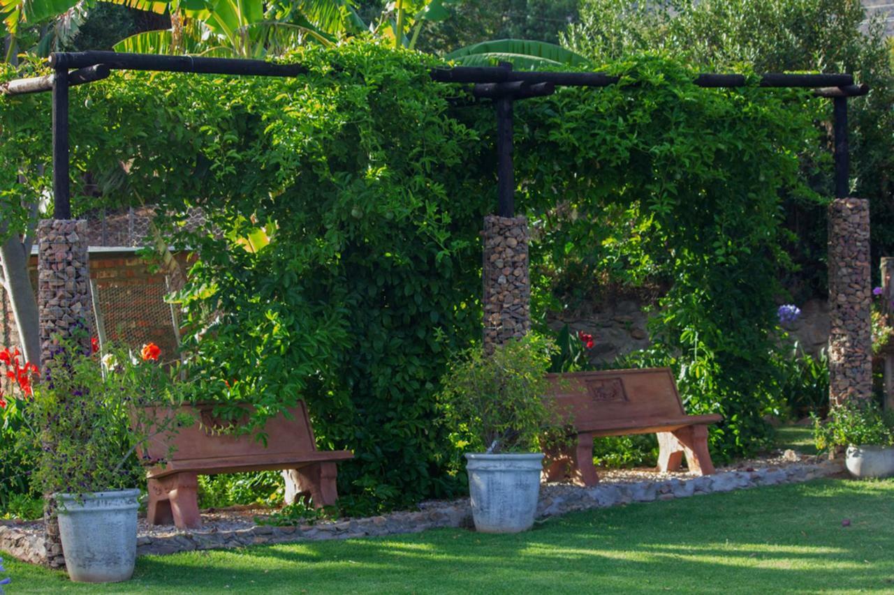 Schoemanshoek Glamping Oudtshoorn Ngoại thất bức ảnh